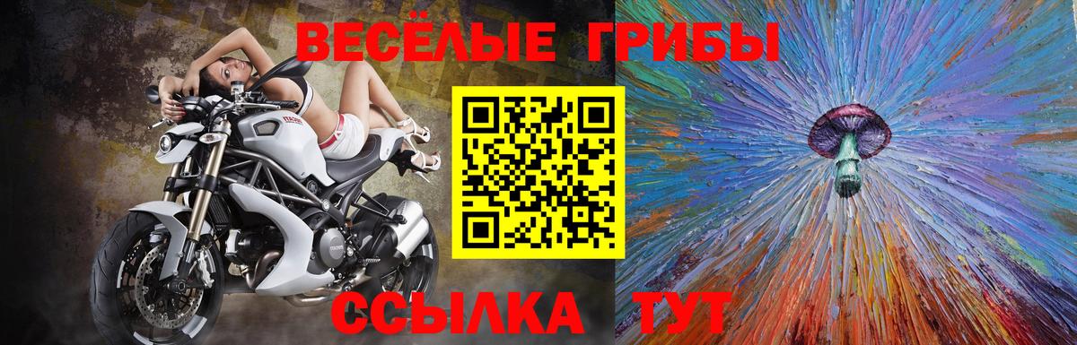 Псилоцибиновые грибы Psilocybe  Вход с VPN  Прохладный 