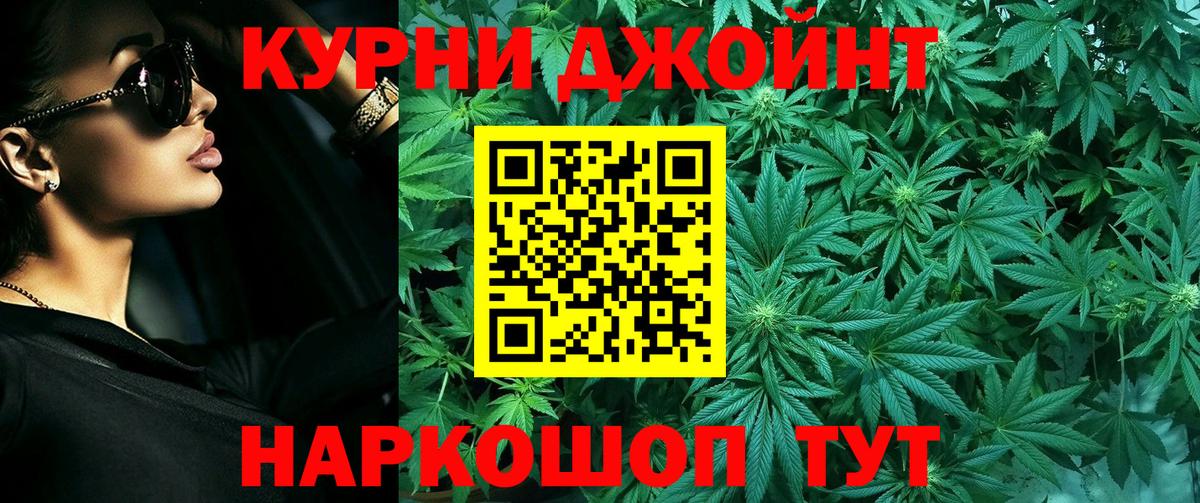 Бошки марихуана конопля Прохладный